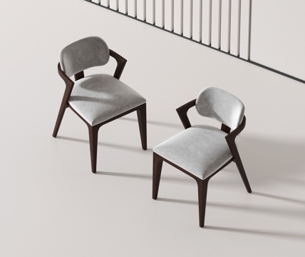 Modern Chair dining chair