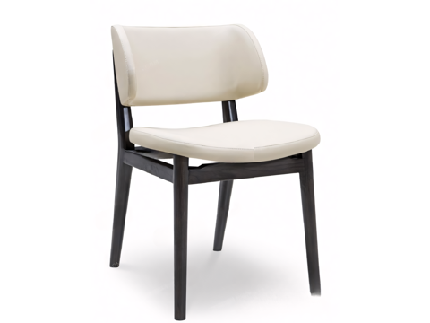 Dining Chair Lounge Chair Chair Chair