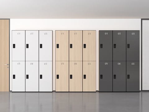 Modern locker locker