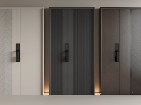 Modern entry door security door