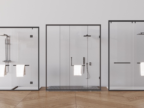 Shower Room Glass Flat Door Shower