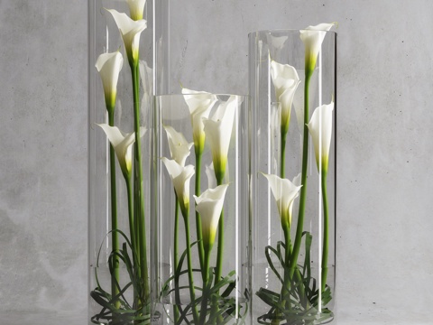 gladiolus flower vase