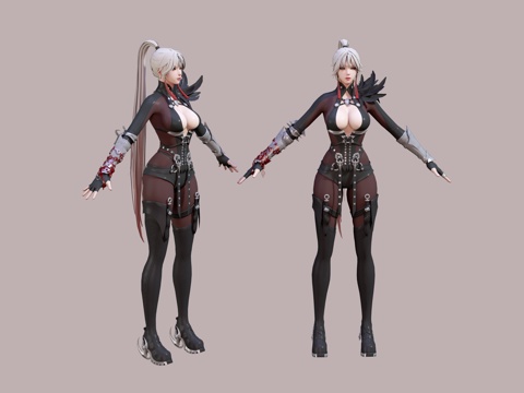 Game Character Female Assassin Silver-haired Female Chivalrous Female Character