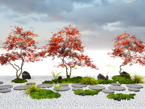 Modern Landscape Tree Red Leaf Tree Garden Tree