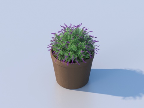 flowerpot potted plant green plant