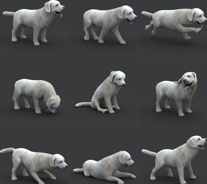 dog puppy puppy animation animal pet