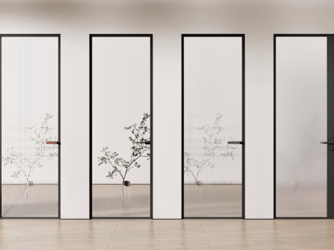 Modern Single Door Changhong Glass Door Frosted Glass Metal Door