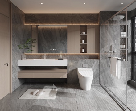 Modern Toilet Bathroom