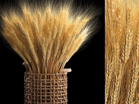 wheat ear wheat flower basket