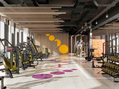 Modern Gym