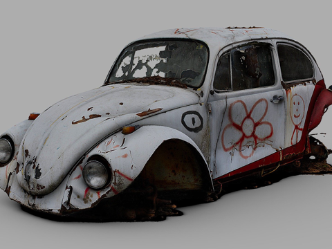 The Destroyed Beetle