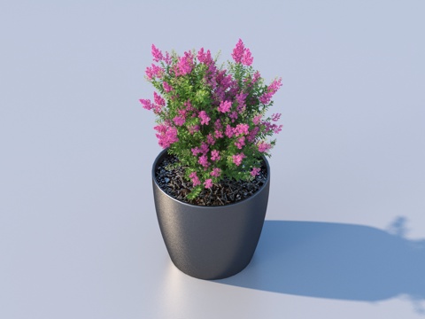 flowerpot potted plant green plant