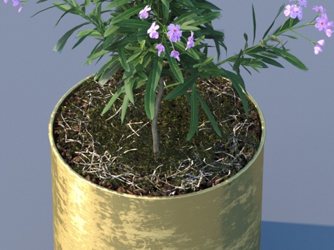 flowerpot potted plant green plant