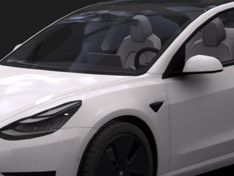 Tesla Model 3 car