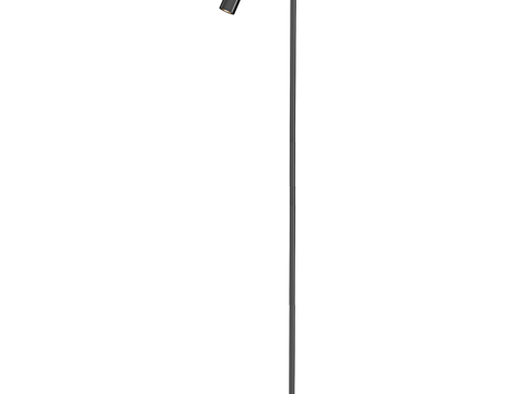 Modern minimalist floor lamp