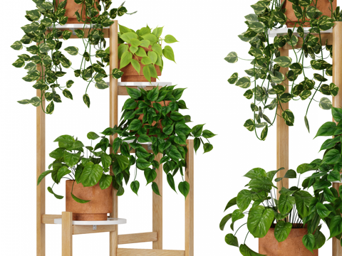 Indoor plants potted flower stand