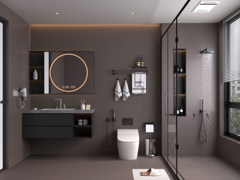 Modern Toilet Bathroom