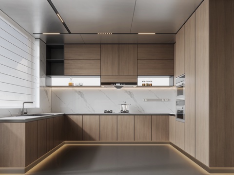 Modern Kitchen Cabinets