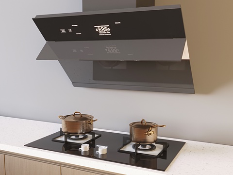 Modern Smoke Machine Range Hood Gas Hood Cabinet