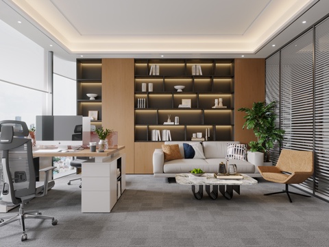 Modern Double Office