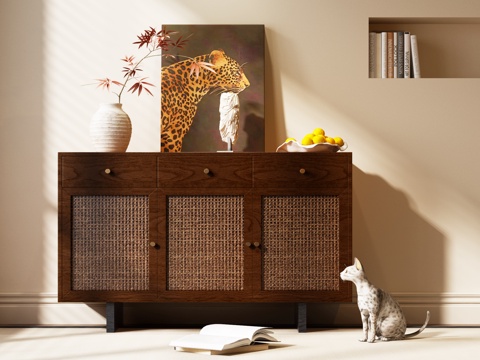 Mid-century Style porch cabinet