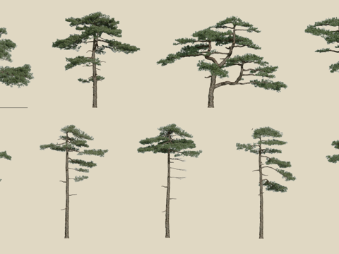 2D Component Zen Pine Welcome Pine Temperament Black Pine