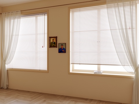 Modern venetian blinds gauze curtain