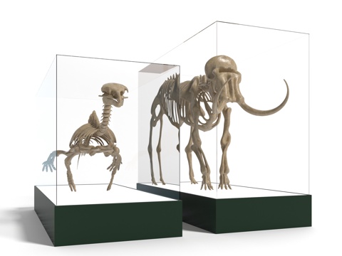 Modern Fossil Sculptures