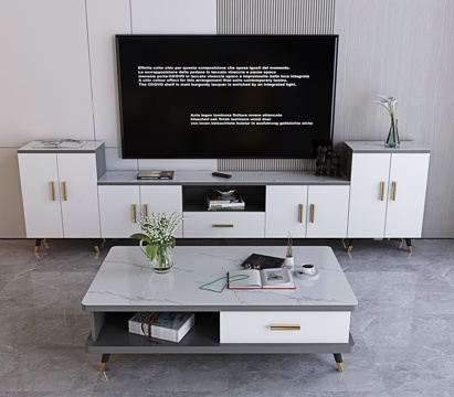 Modern TV Cabinet Coffee Table