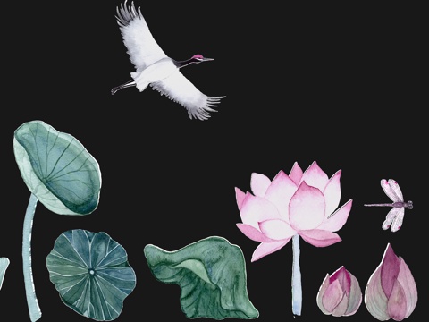 New Chinese Lotus Pattern Lotus Leaf Lotus Silhouette