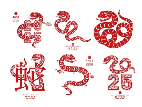 Paper-cut Silhouette Zodiac Snake Wall Decoration