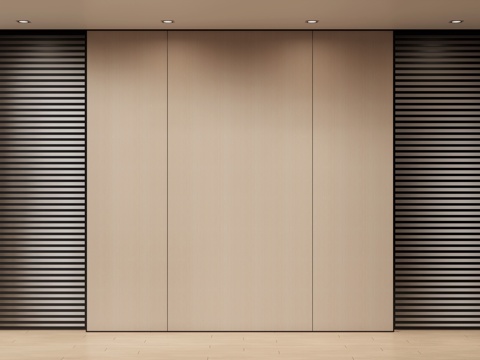 Modern sliding door pocket door partition wall