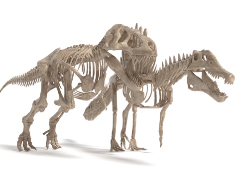 Modern dinosaur fossil sculpture