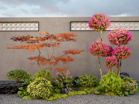 Modern landscape red maple modeling tree