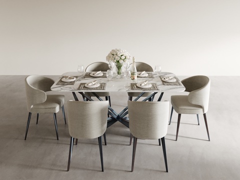 Modern Dining Table and Chair Dining Table and Chair