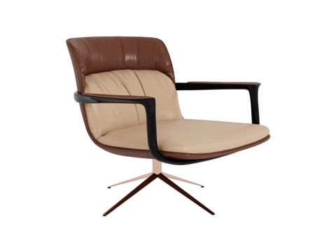 visionnaire Arm Chair