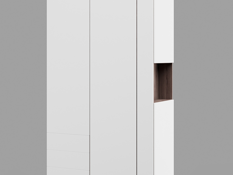 Modern Wardrobe Closet