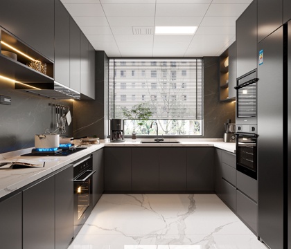 Modern Kitchen