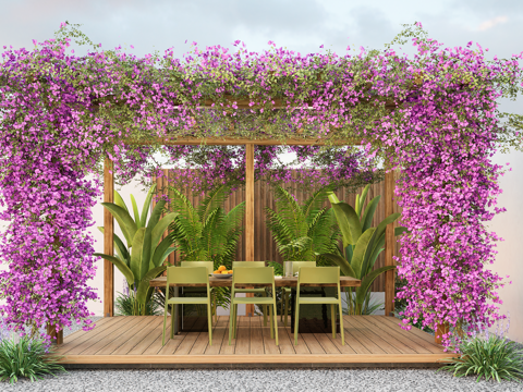 Bougainvillea Vine and Rhododendron Corridor