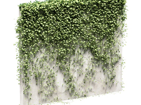 Plant Wall Green Plant Wall Creeper