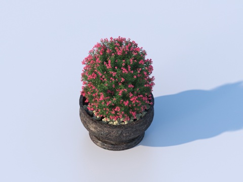 flowerpot potted plant green plant