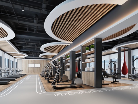 Modern Gym