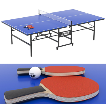 table tennis table