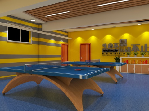 Modern table tennis room