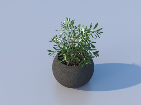 flowerpot potted plant green plant