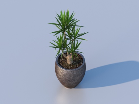 flowerpot potted plant green plant