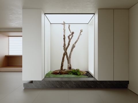 Modern Entrance Landscaping Interior Landscape Dead Tree Landscape