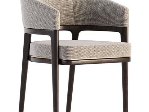 Modern Dining Chair Chair