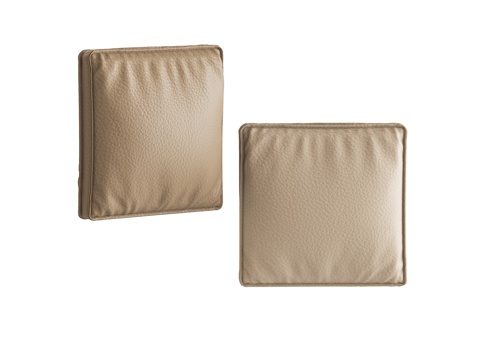 Pillow Pillow Leather Pillow