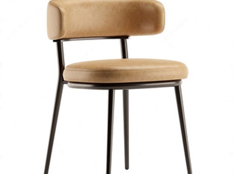 Modern Dining Chair Chair